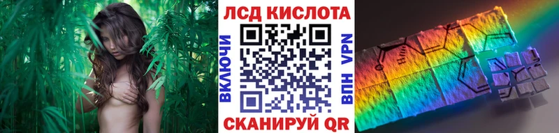 mega как зайти  купить наркотики цена  Димитровград  Марки NBOMe 1,5мг 