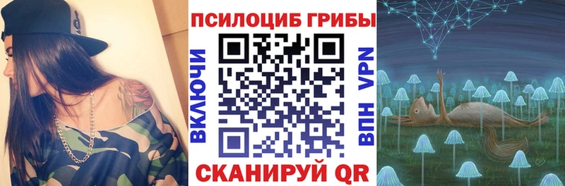 omg ТОР  Димитровград  Галлюциногенные грибы Psilocybe 