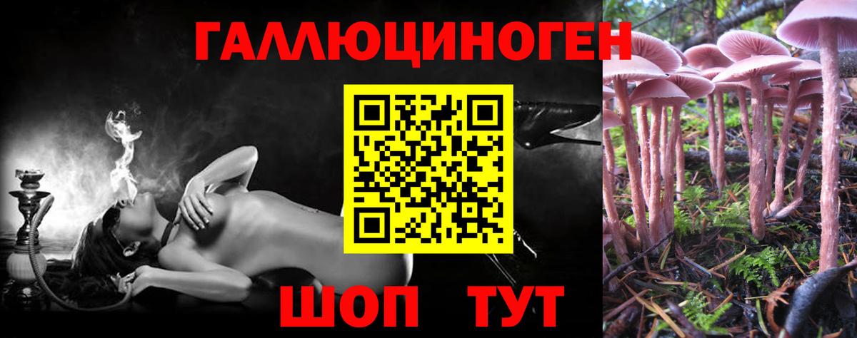 Галлюциногенные грибы мицелий Димитровград