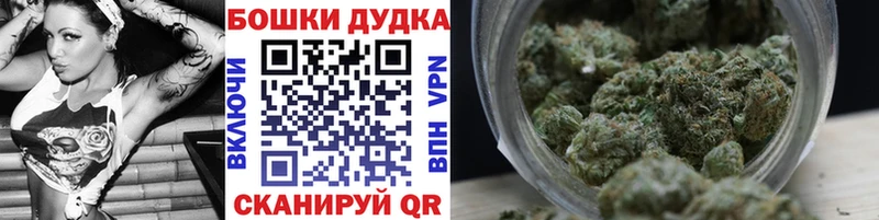 Бошки марихуана план  Димитровград 